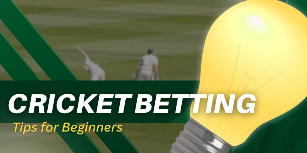 Find out about Cricket betting tips and tricks for beginners 